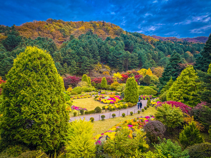 아침고요수목원