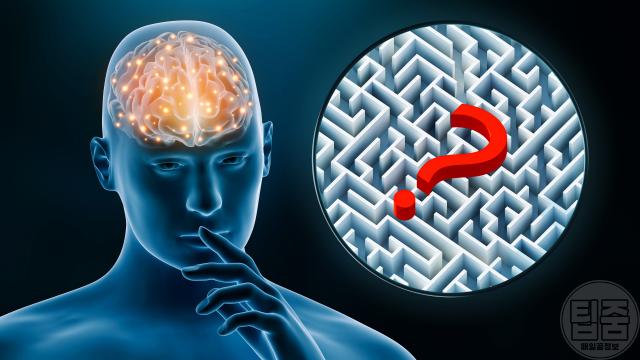 치매 초기 증상