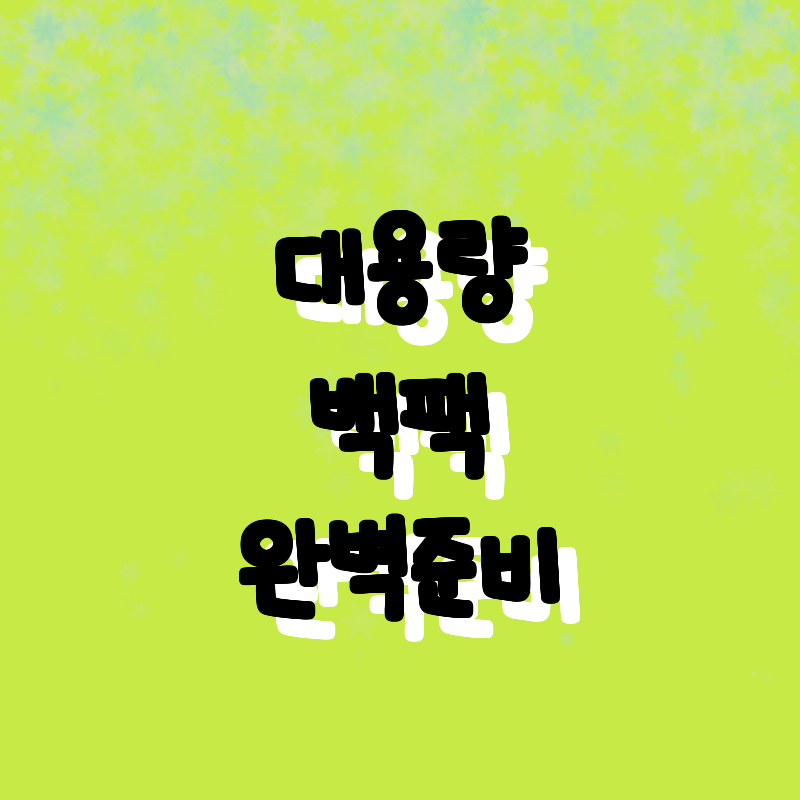 가성비 끝판왕! 대용량 백팩 모음 -