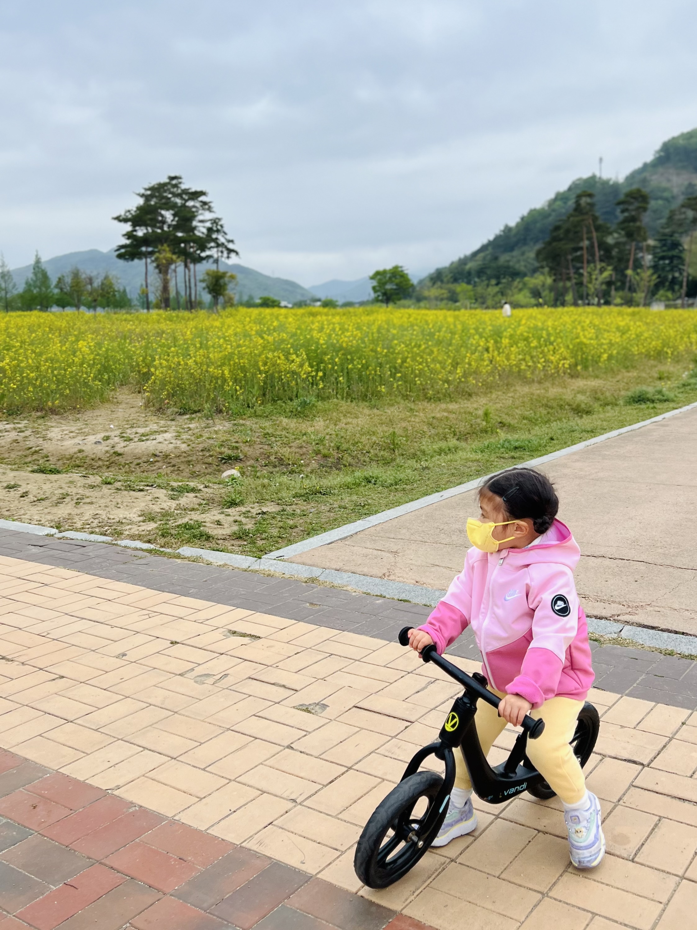 유채꽃밭 앞 자전거 소녀