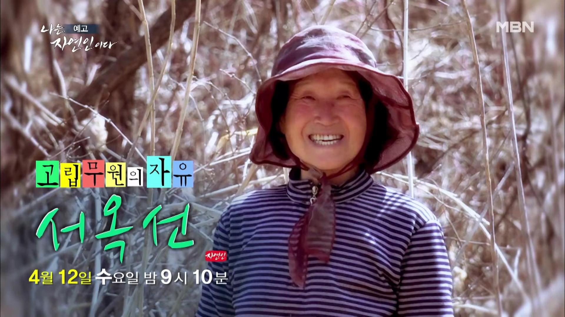 나는 자연인이다 100년 집 머위꽃 튀김 달래무침 개복숭아 고추장 황태 북어 구이 고립무원의 자유 자연인 서옥선 소개 및 윤택 출연 549회 다시보기