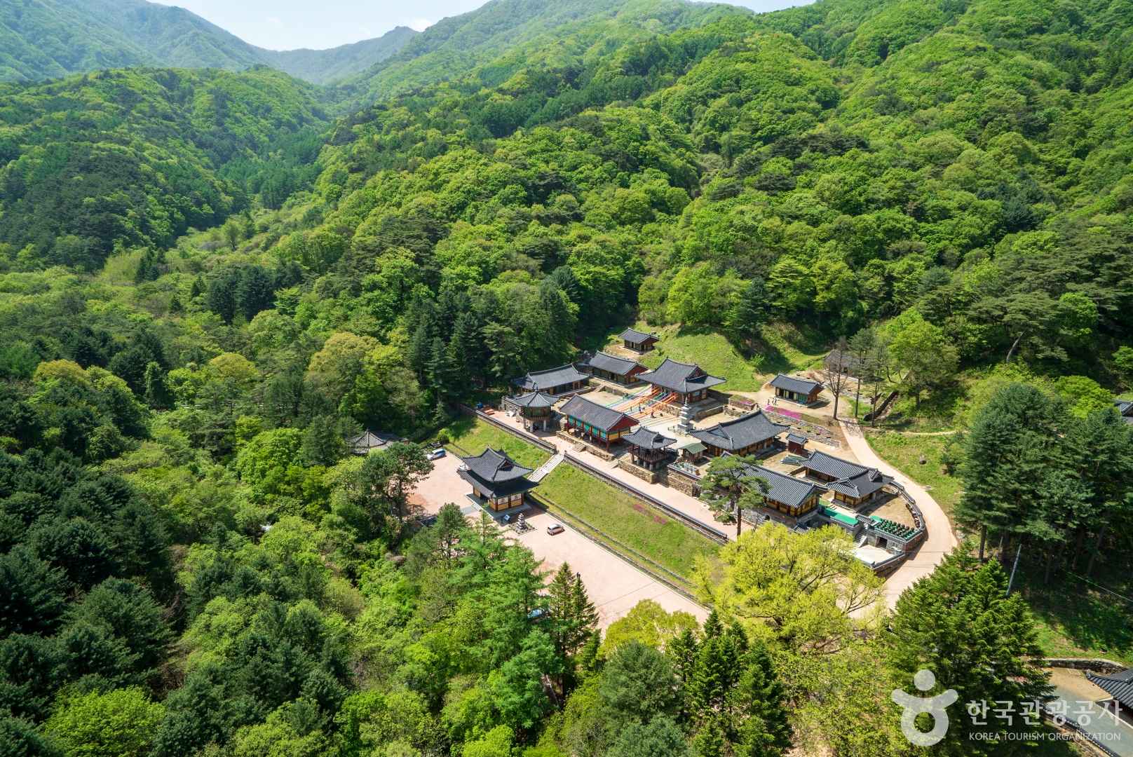 원주 구룡사