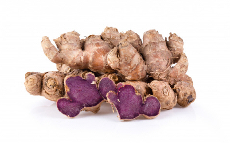 기적의 흑생강 파비플로라 관련 사진