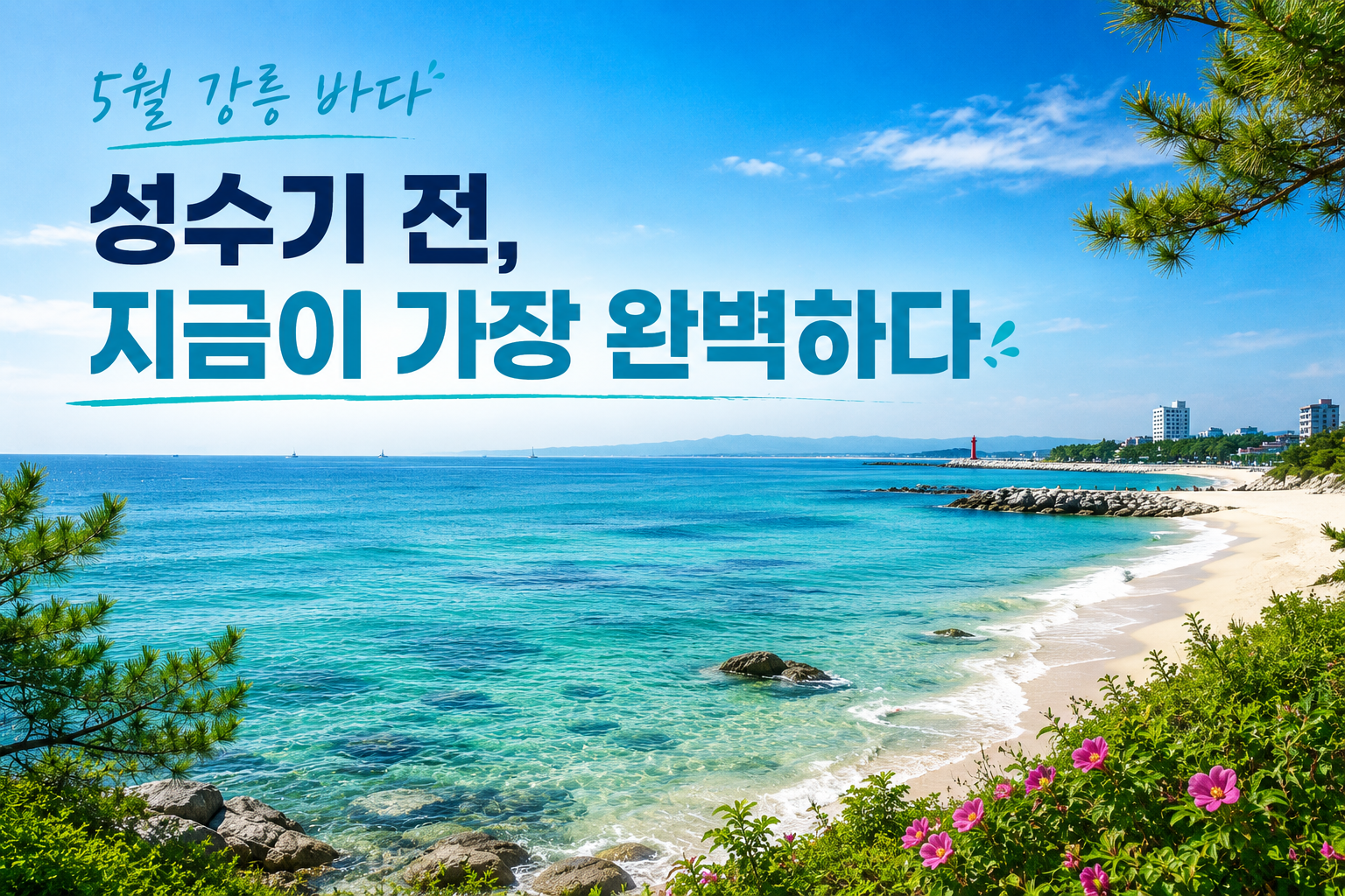 2026 강릉여행추천