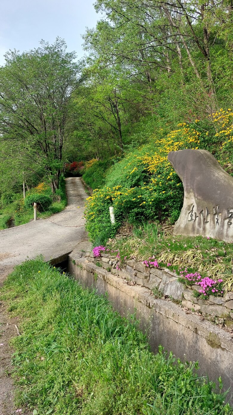화산꽃동산숲길