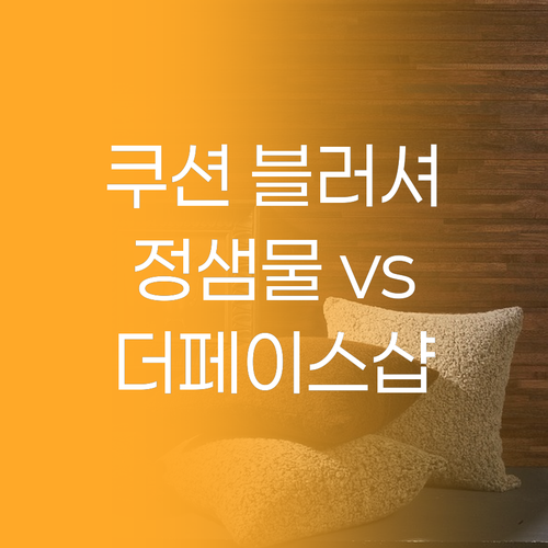 쿠션 블러셔 완벽 분석 정샘물, 더페..