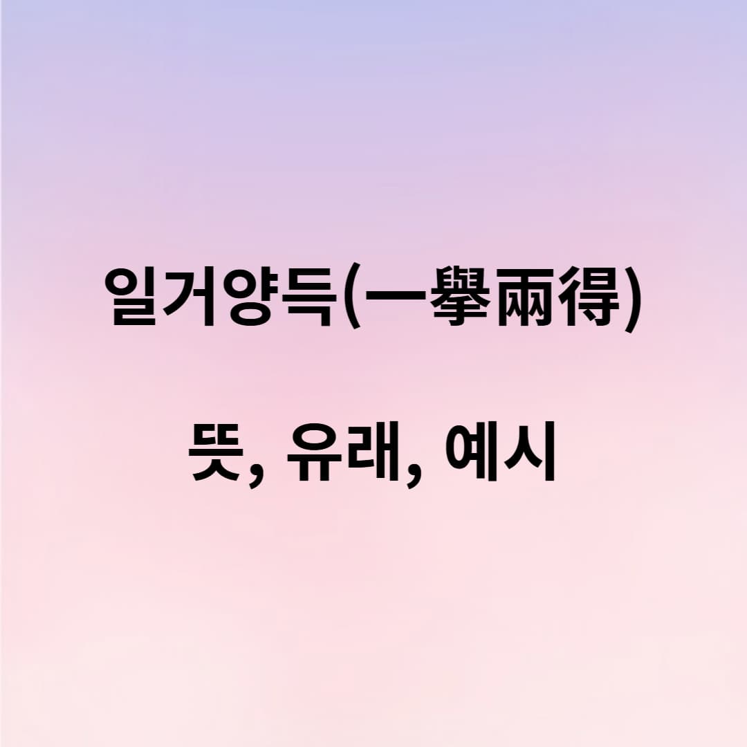 일거양득의 뜻, 유래, 그리고 일상 속 활용법