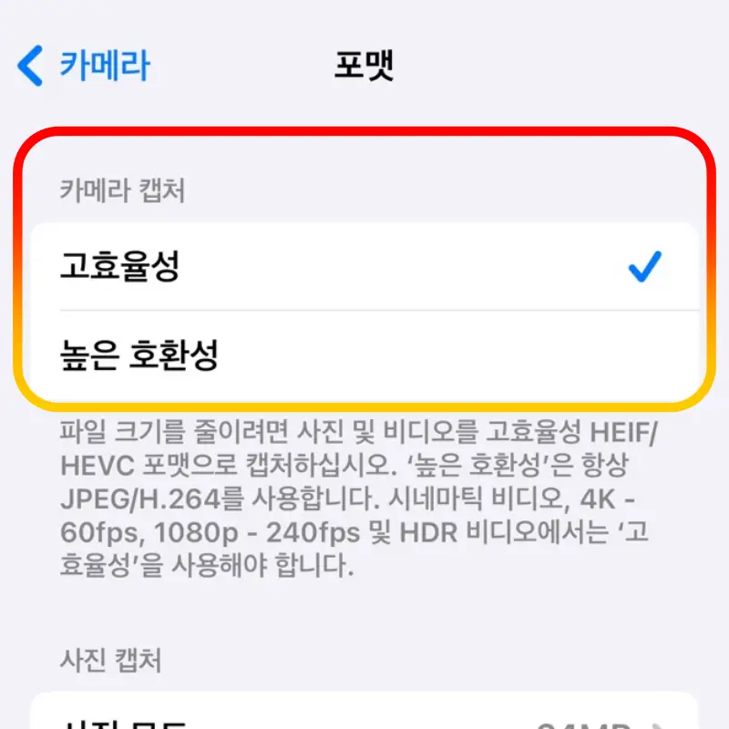 높은-호환성-JPEG