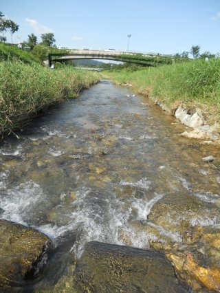 말복 입추 처서