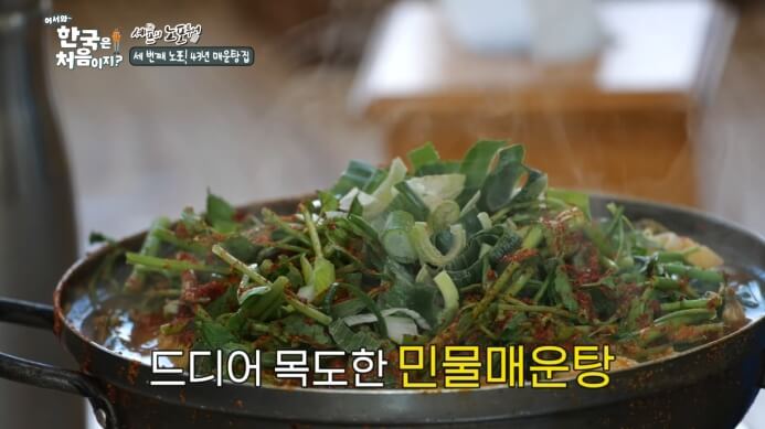어서와-한국은-처음이지-민물매운탕