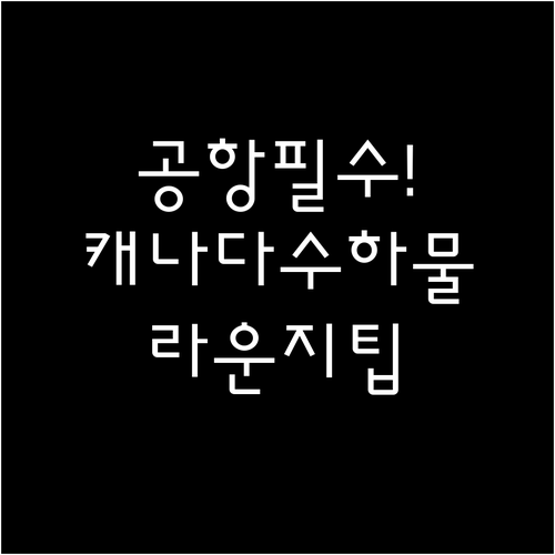 인천공항 에어캐나다 수하물 및 라운지..