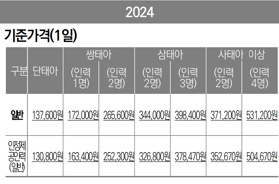 2024년 정부지원 산후도우미 1일 가격표