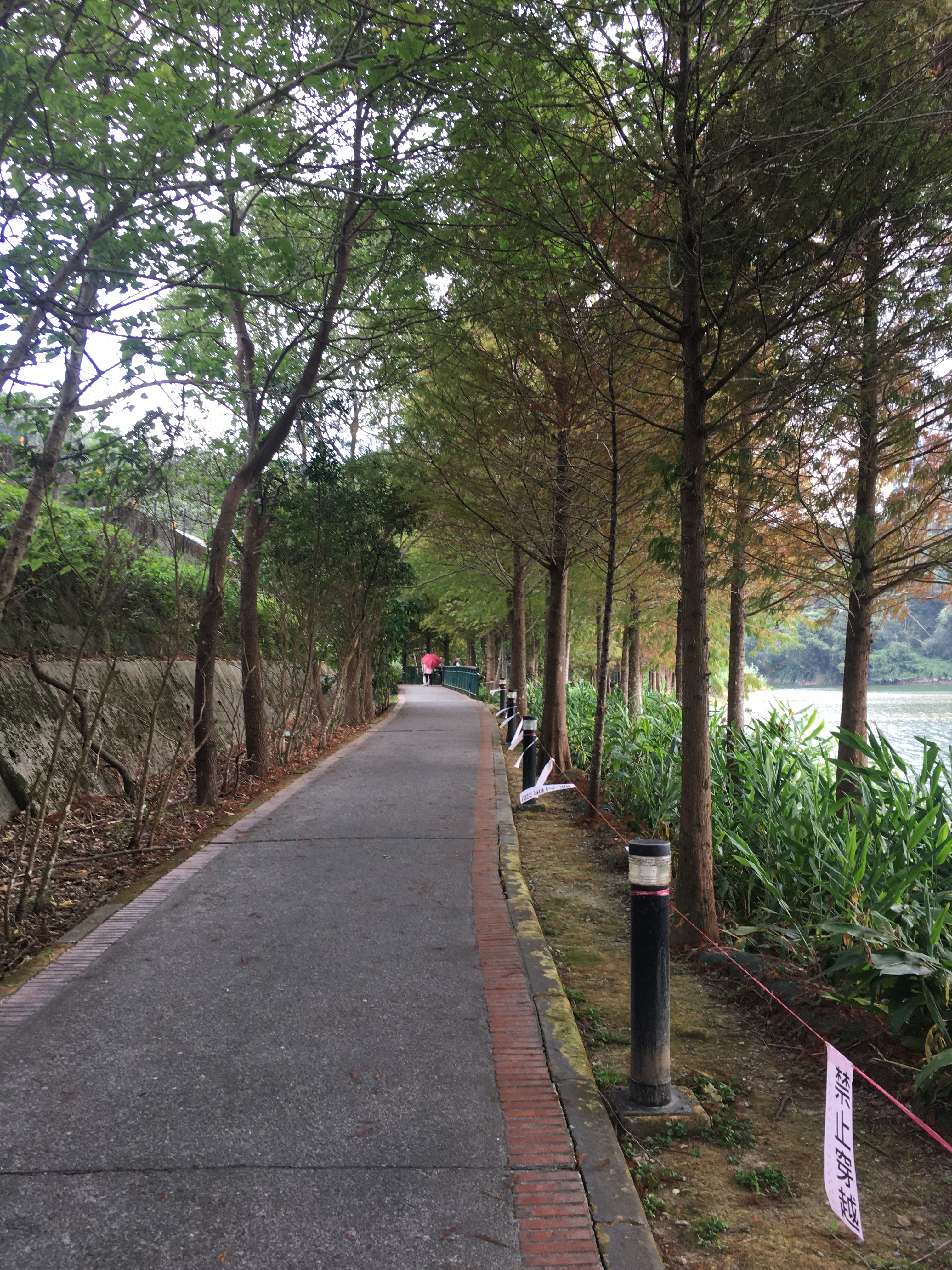 일월담에서_돌아오는길