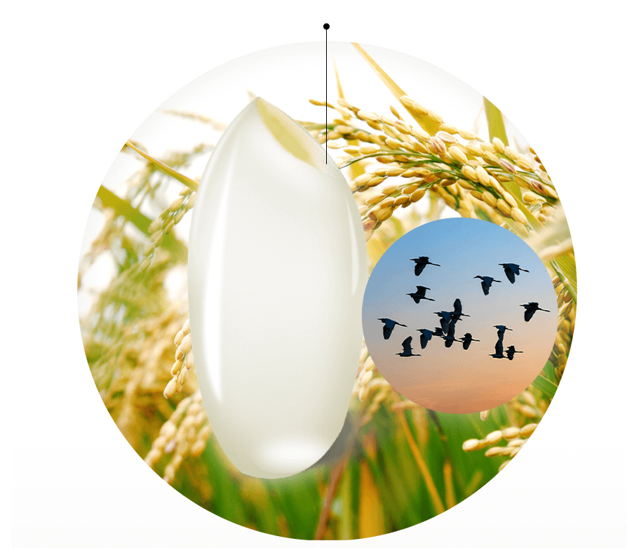 2023년 맨올로지컷 파란통 다이어트 후기! 총정리