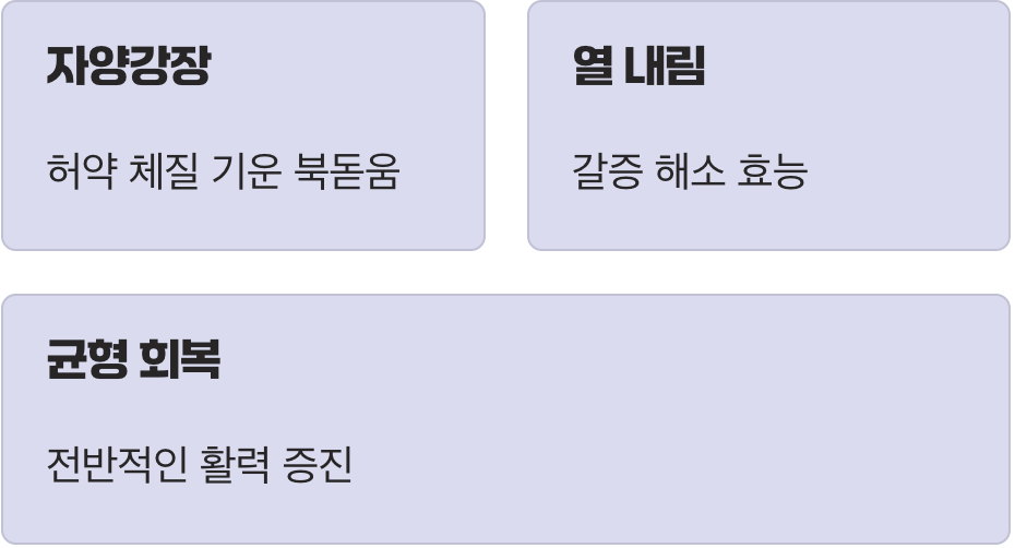 4. 기력 회복과 원기 보충