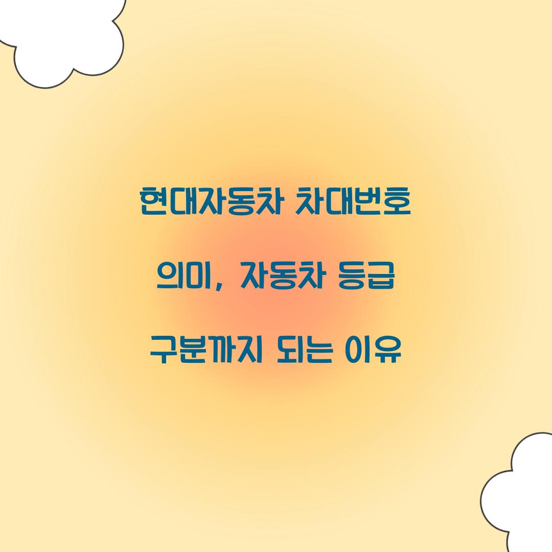 현대자동차 차대번호 의미, 자동차 등급 구분까지 되는 이유