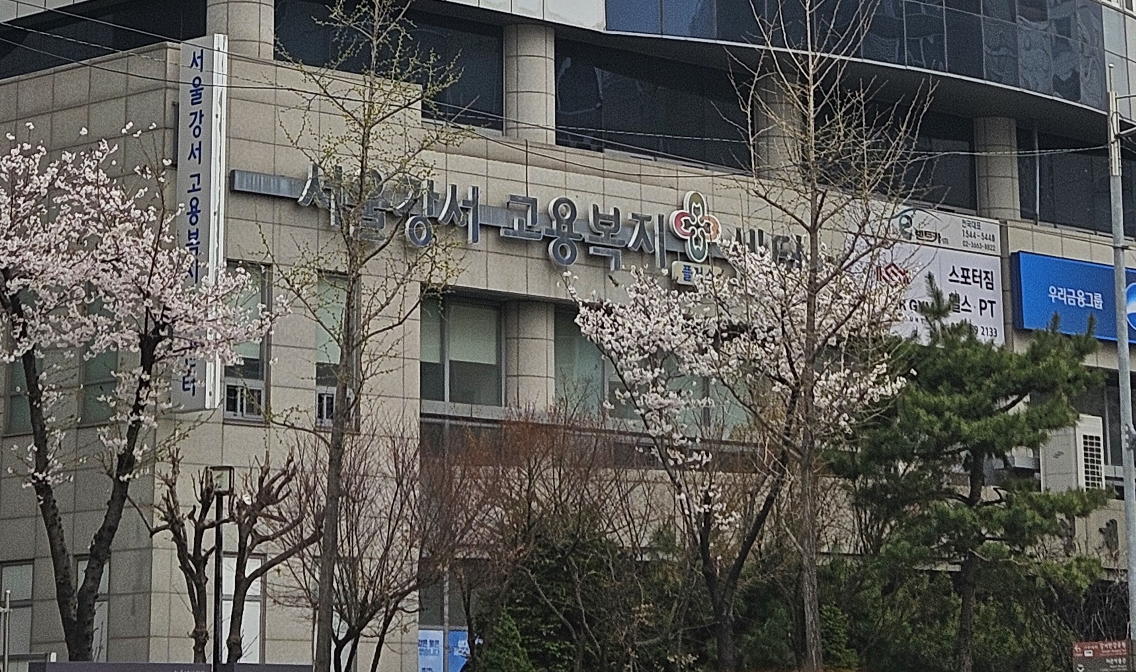 서울 강서구 고용센터 방문 실업급여 신청 후기