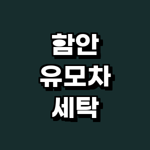 함안군 유모차 세탁