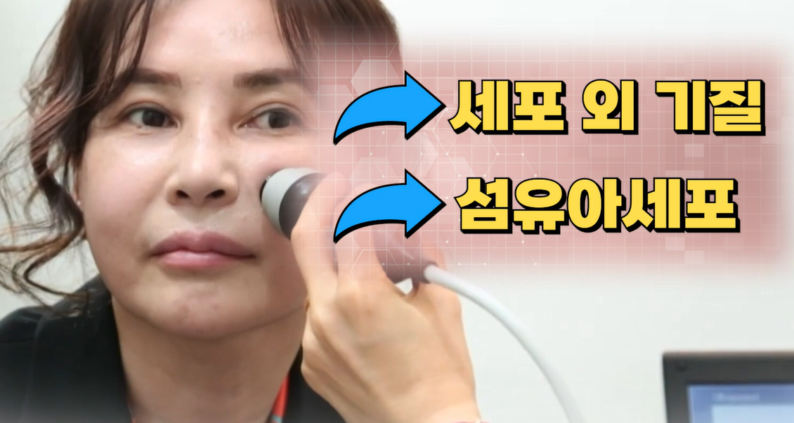 엘라스틴 효능