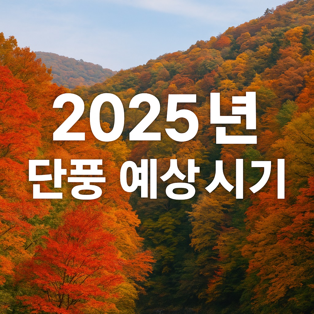 2025 단풍예상시기
