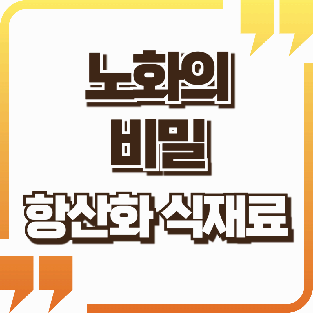 항산화 효과가 뛰어난 음식과 노화 방지 전략