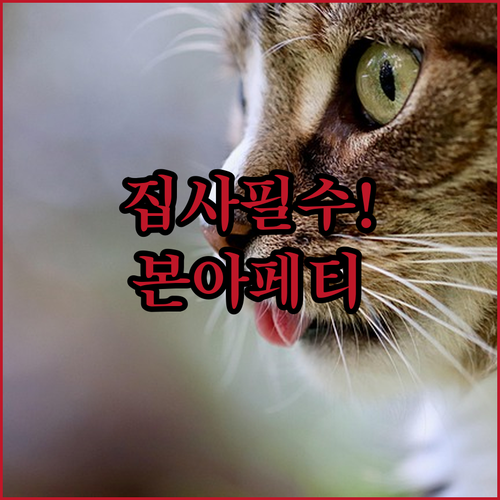 본아페티 고양이 영양제 종류별 급여 ..