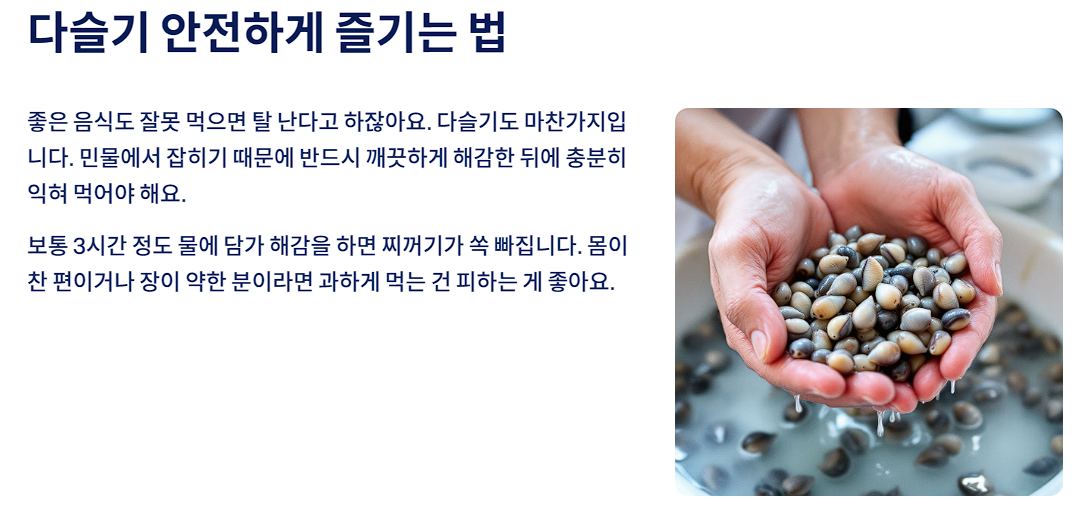 다슬기 안전하게 즐기는 법
