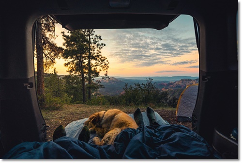 캠핑박람회 일정 수원메쎄 사전예약 무료입장