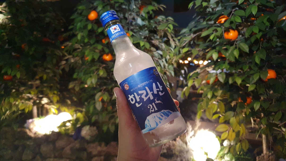 탐라포차-19