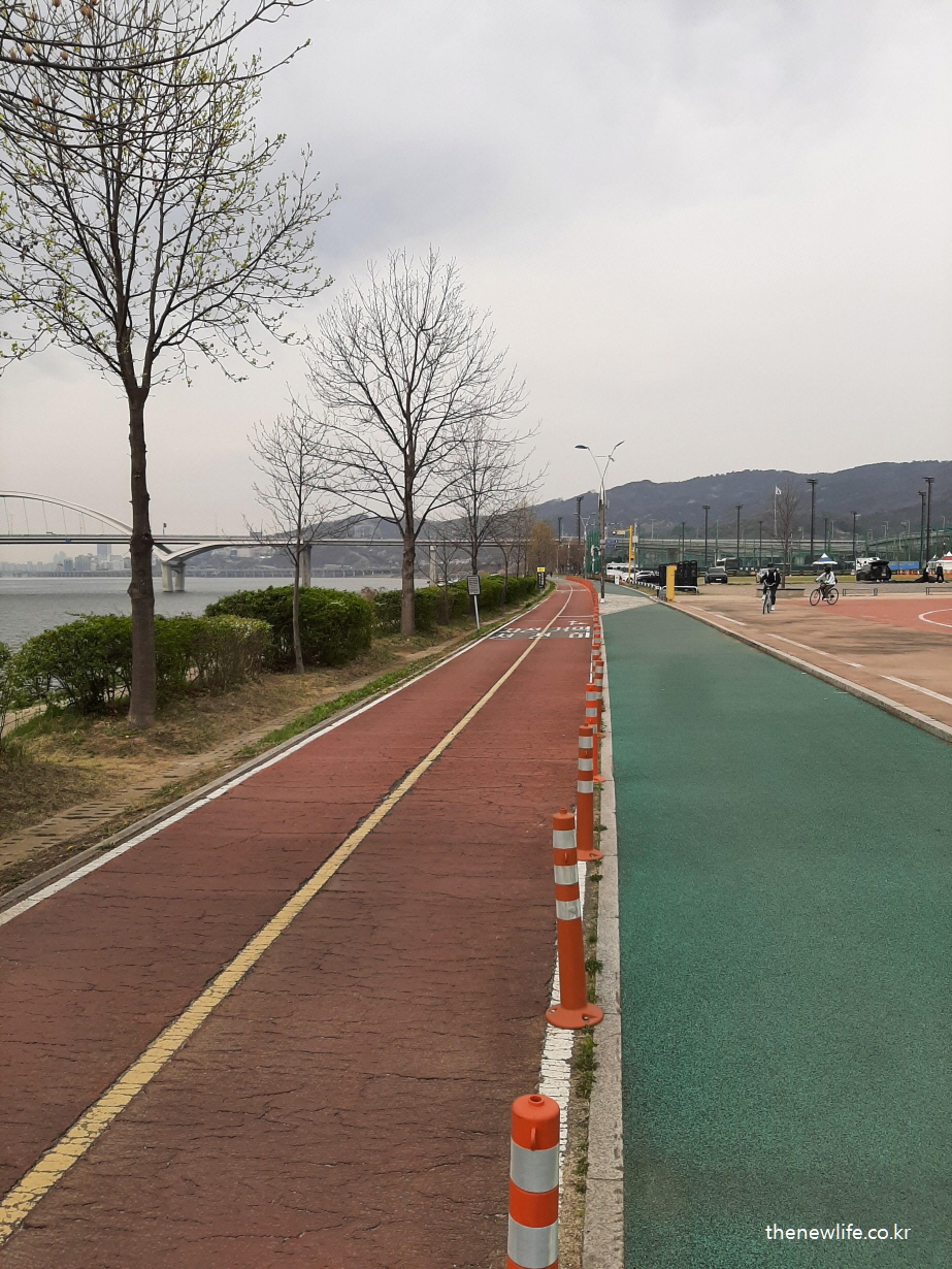 일반 도로와 탄성 포장 도로가 나란히 조성된 구리 한강공원 자전거 도로 구간