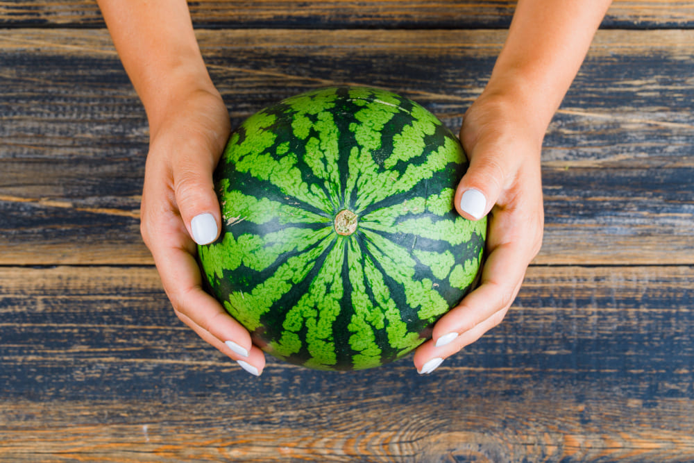 수박의 밑동이 노란색이 수박이 맛있는 수박이다.