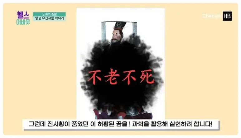 일본nmn효능