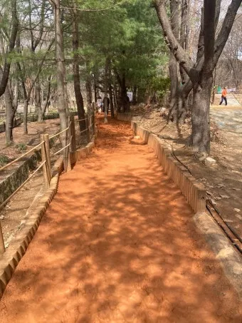 황토길 맨발 걷기 효능과 건강 효과 핵심 정보 정리해보기_20