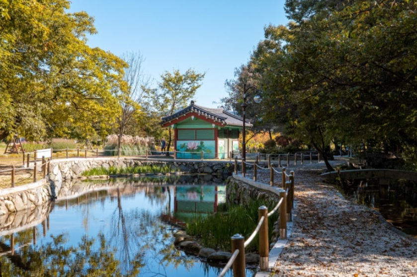 경남 함양 상림공원 가을 단풍 물든 천년 숲 산책로