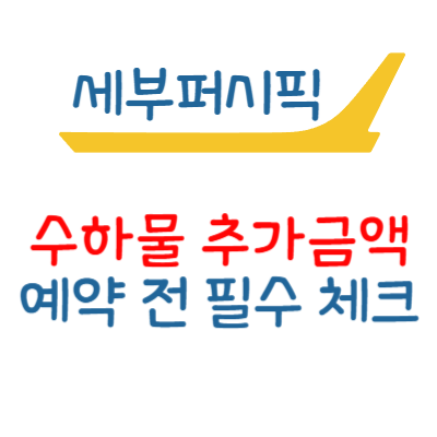 세부퍼시픽 수하물 규정 추가 금액, 예약 전 꼭 알아두세요