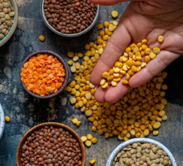 당뇨병에 좋은 음식 영양제 식단