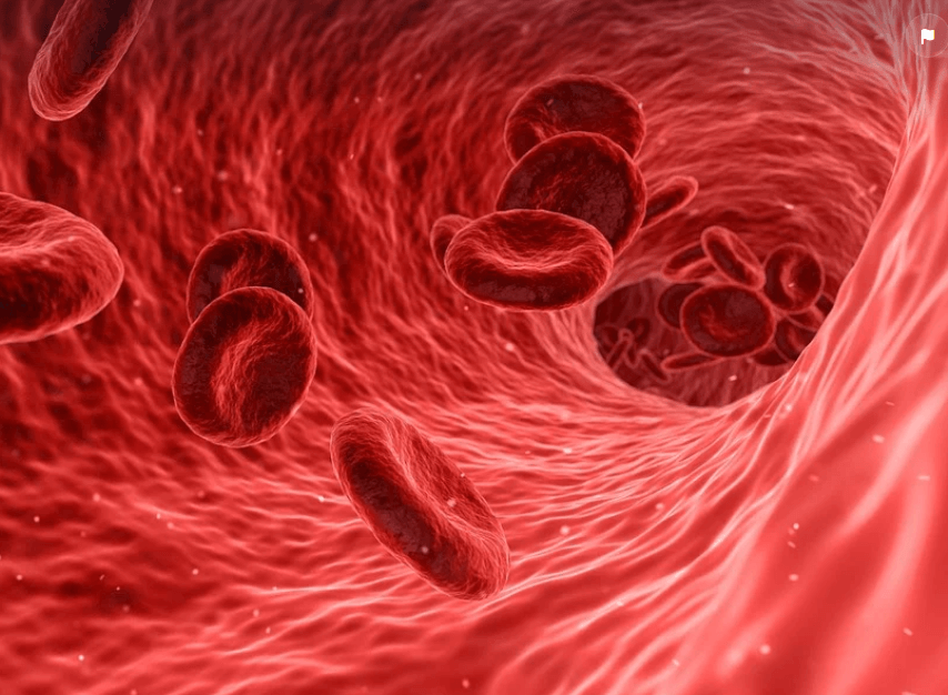 손이 차가운 체질, 따뜻한 몸 만들며 느낀 것들