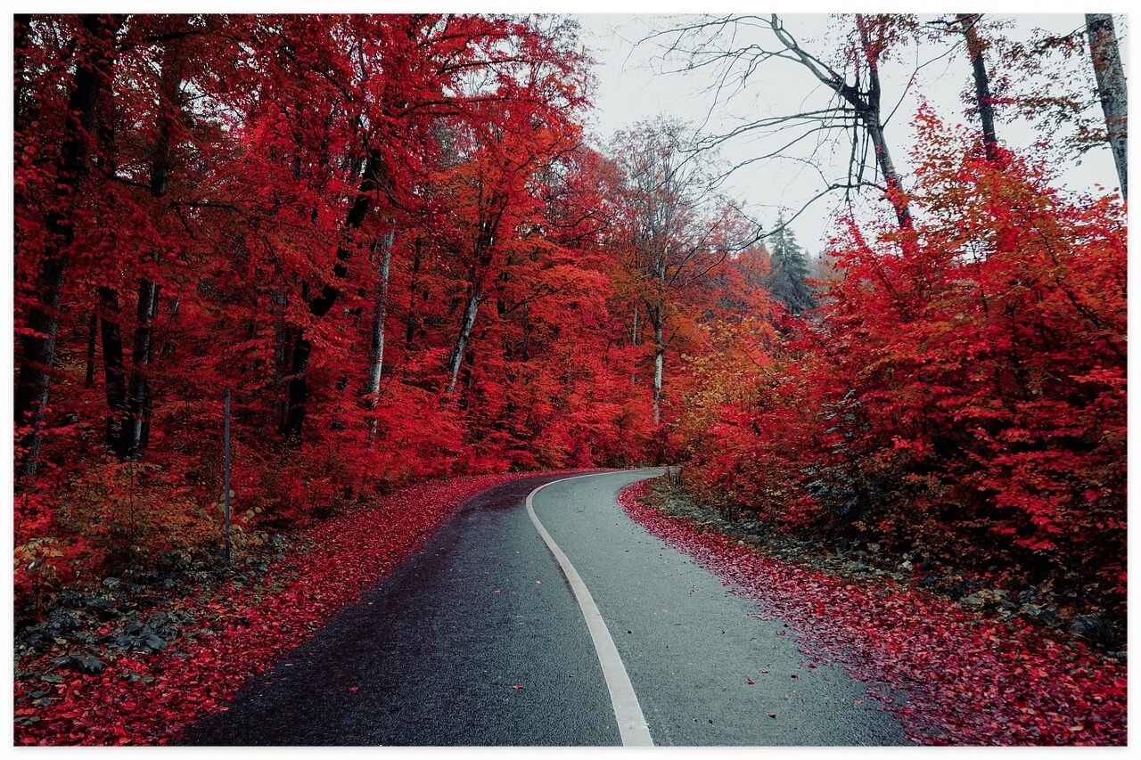 하이패스 단말기 이용방법
