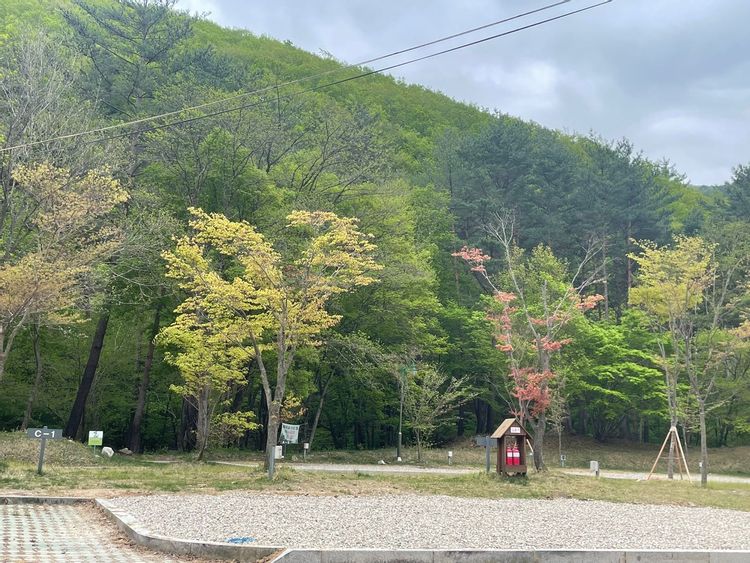 평창 계방산 오토캠핑장 소개