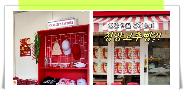 매일아침 위대한식재료 고추빵 후기