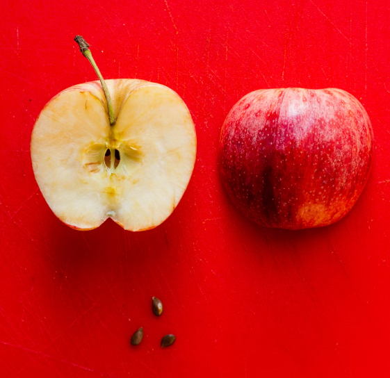 사과의 효능과 부작용 권장량