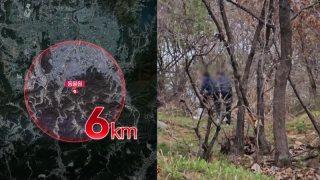 늑구 포획 현상금 청주 암컷 AI사진 총정리