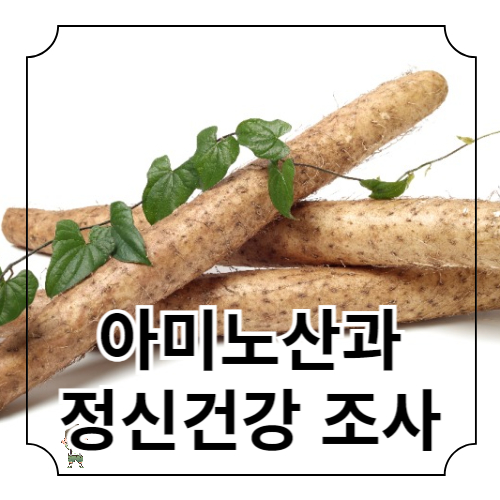 아미노산과 정신 건강