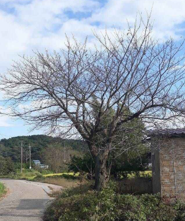 익산 가볼만한곳 베스트10