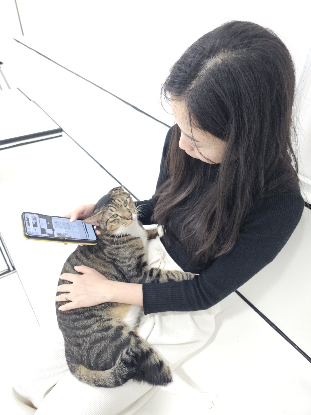 야옹이네 고양이 카페