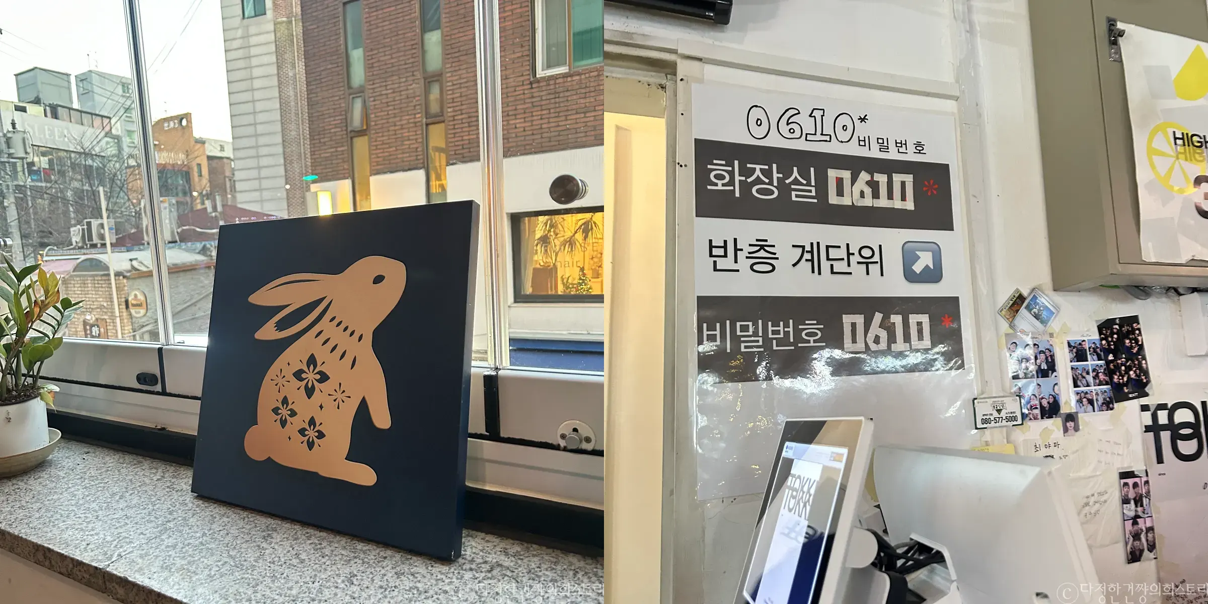 홍대-합정-상수-술집-추천-맛집-추천-토끼-다이닝-토끼-그림-화장실-비밀번호