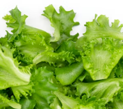 과민성 대장증후군에 좋은 음식 영양제 식단