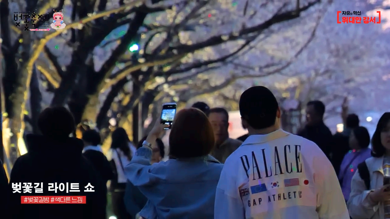 강서 낙동강 30리 벚꽃축제