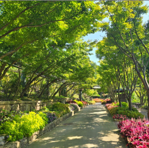 화담숲 예약 인원