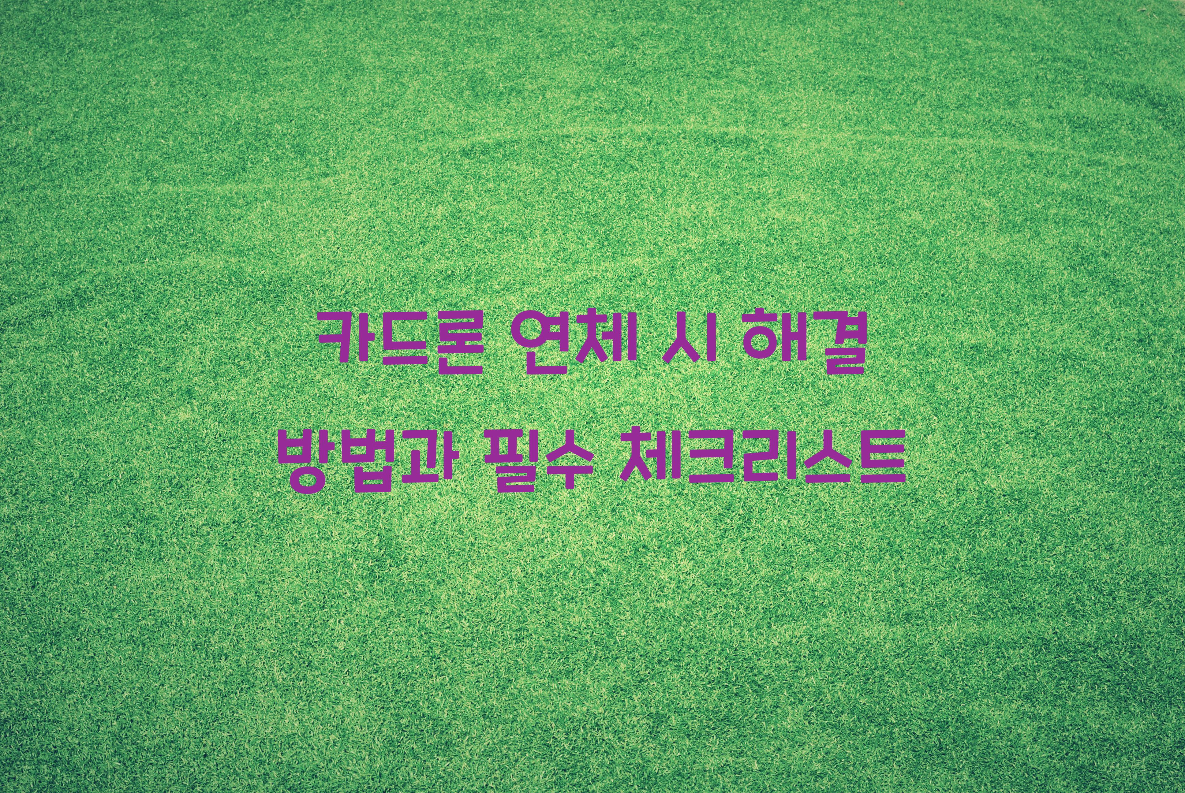 카드론 연체 시 해결 방법